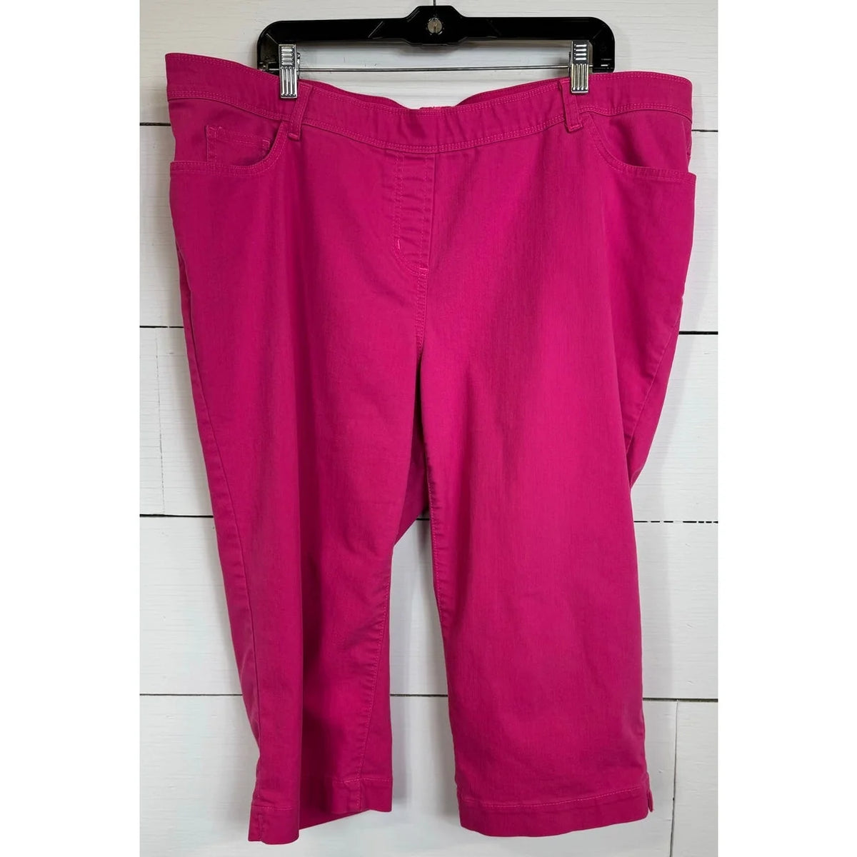 Allison Daley Capri Pants Women's Size 22W - Image 1