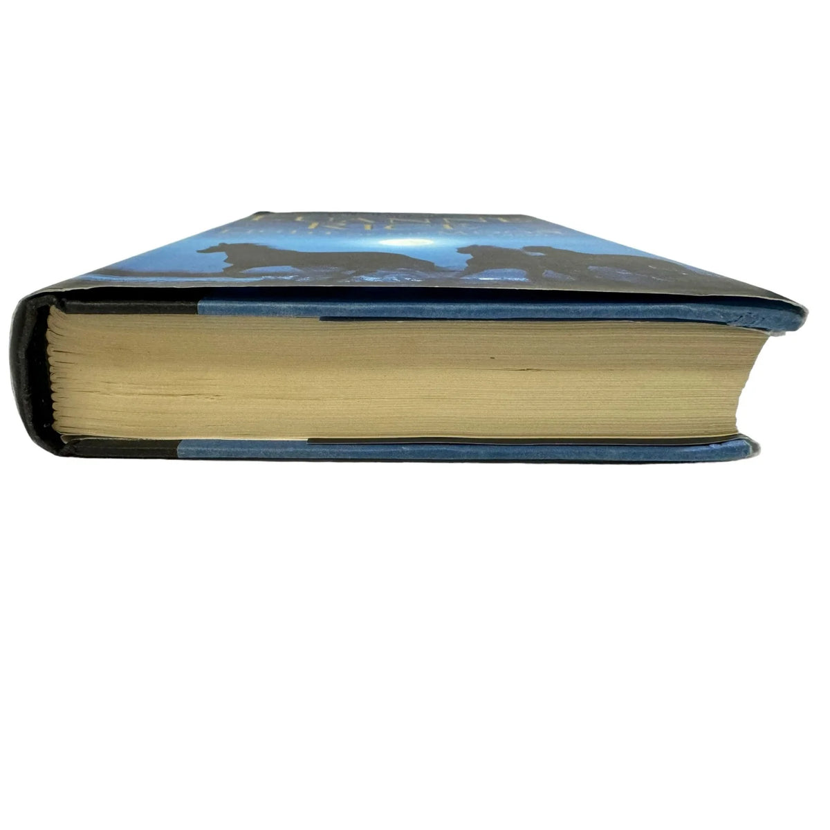 Light of the Moon by Luanne Rice (Hardcover) - Image 4