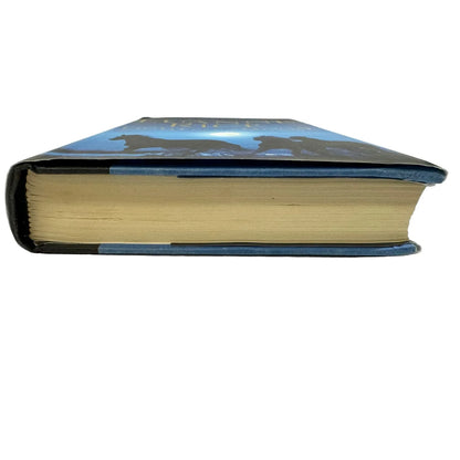 Light of the Moon by Luanne Rice (Hardcover) - Image 4
