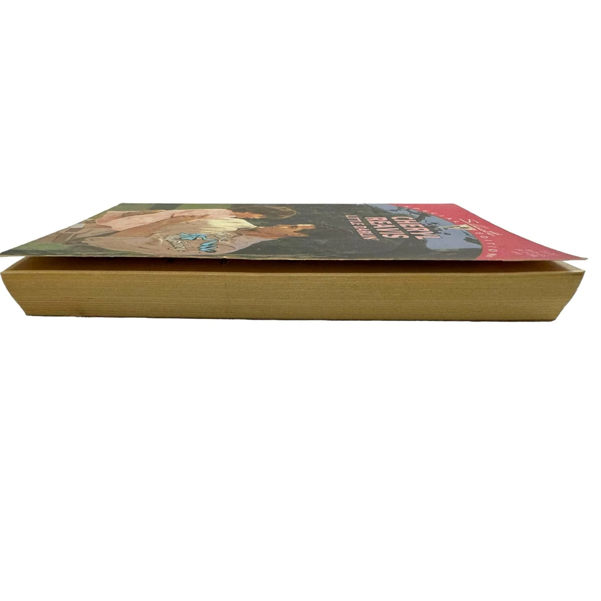 Little Darlin' by Cheryl Reavis (Paperback) - Image 5