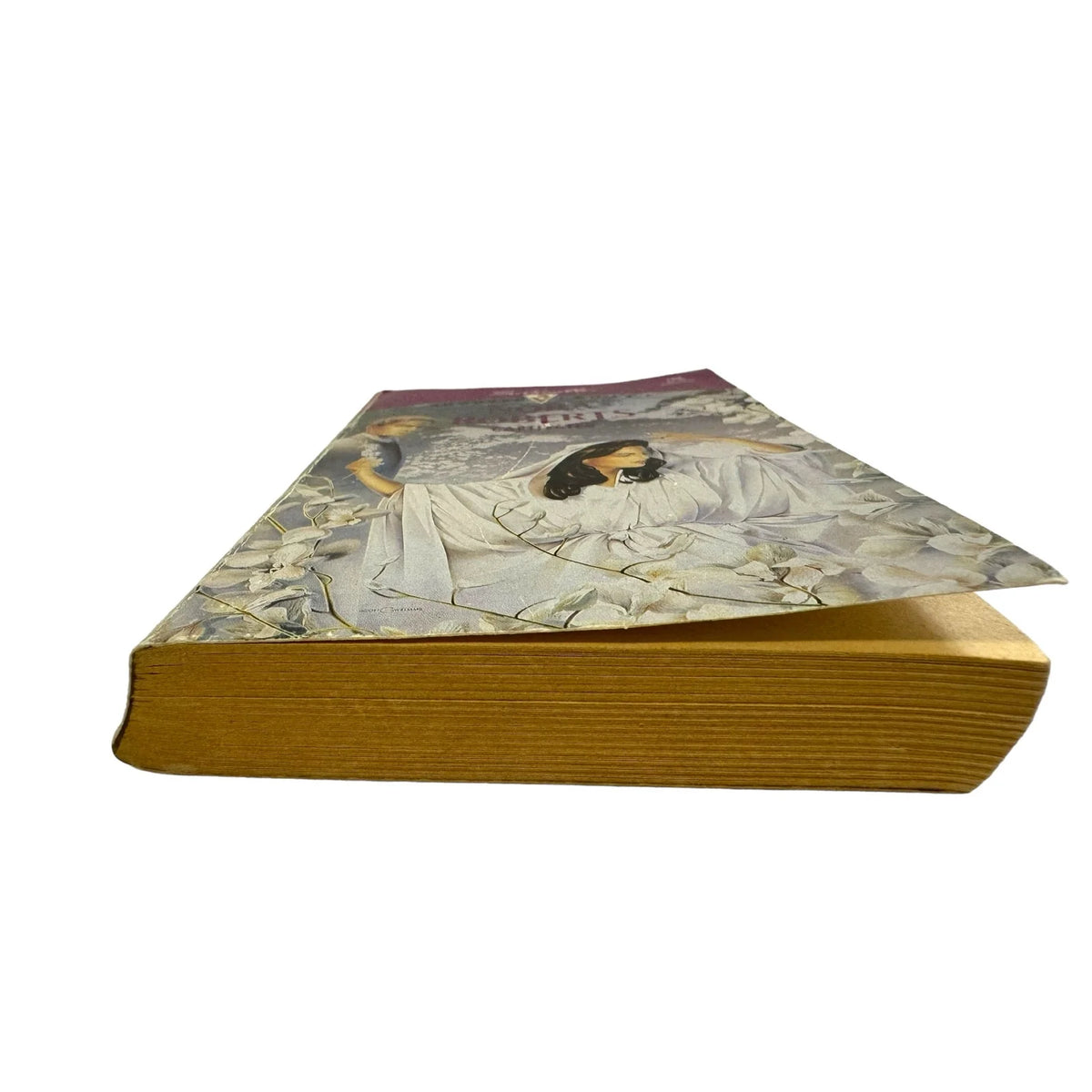 Captivated by Nora Roberts (Paperback) - Image 4