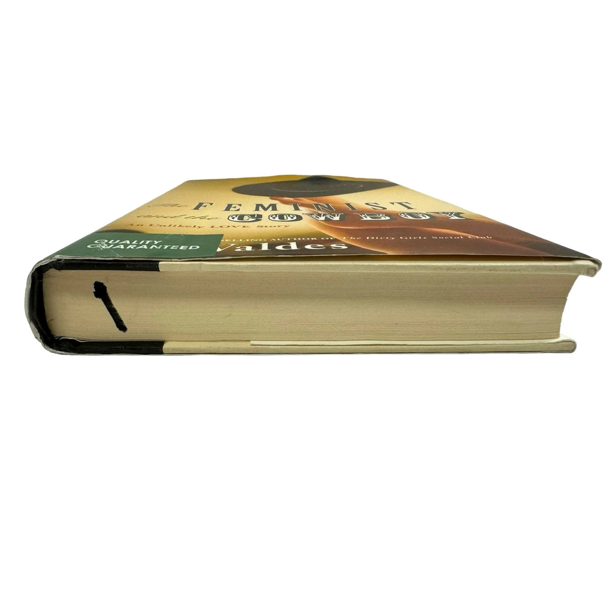 The Feminist and the Cowboy by Alisa Valdes (Hardcover) - Image 5