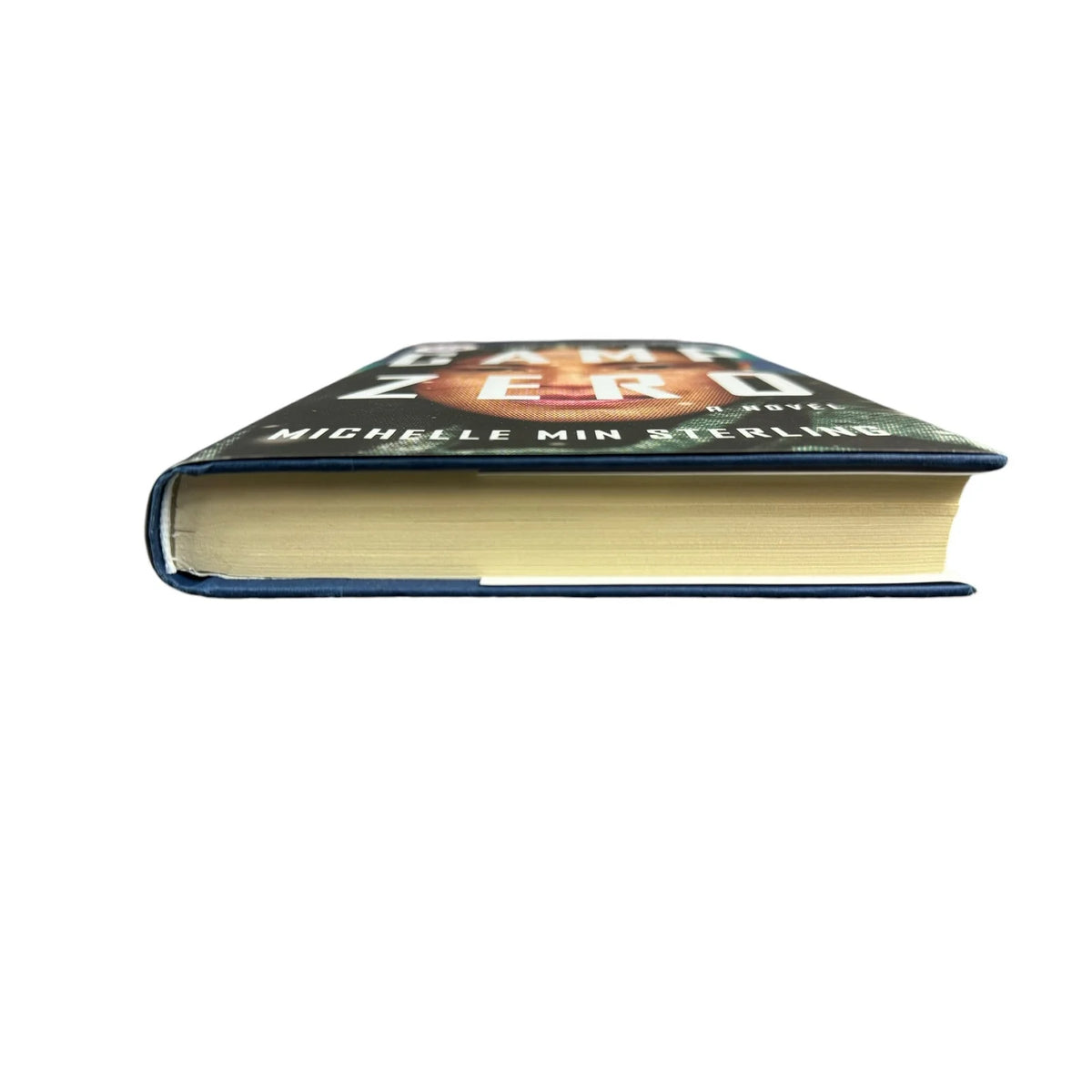 Camp Zero by Michelle Min Sterling (Hardcover) - Image 4