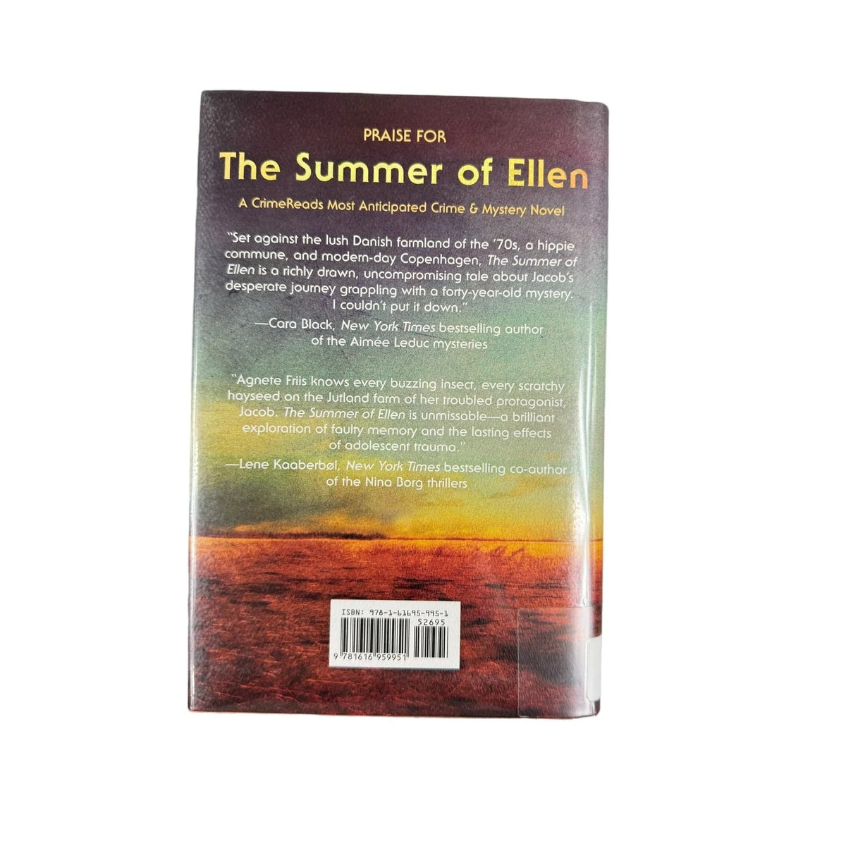 The Summer of Ellen by Agnete Friis (Hardcover) - Image 2