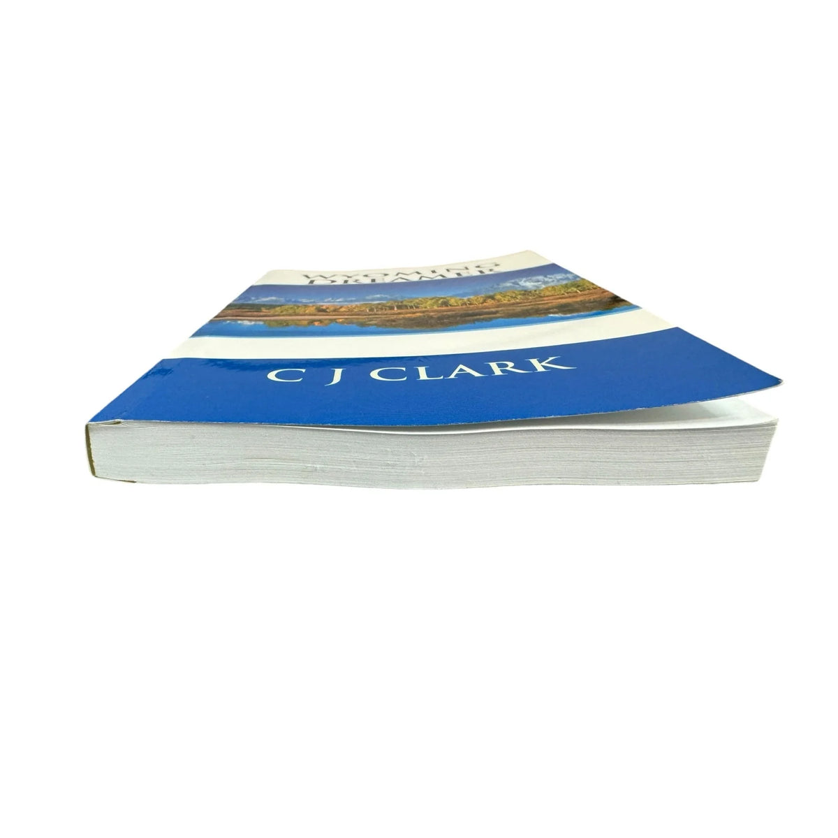 Wyoming Dreamer by C J Clark (Paperback) - Image 4