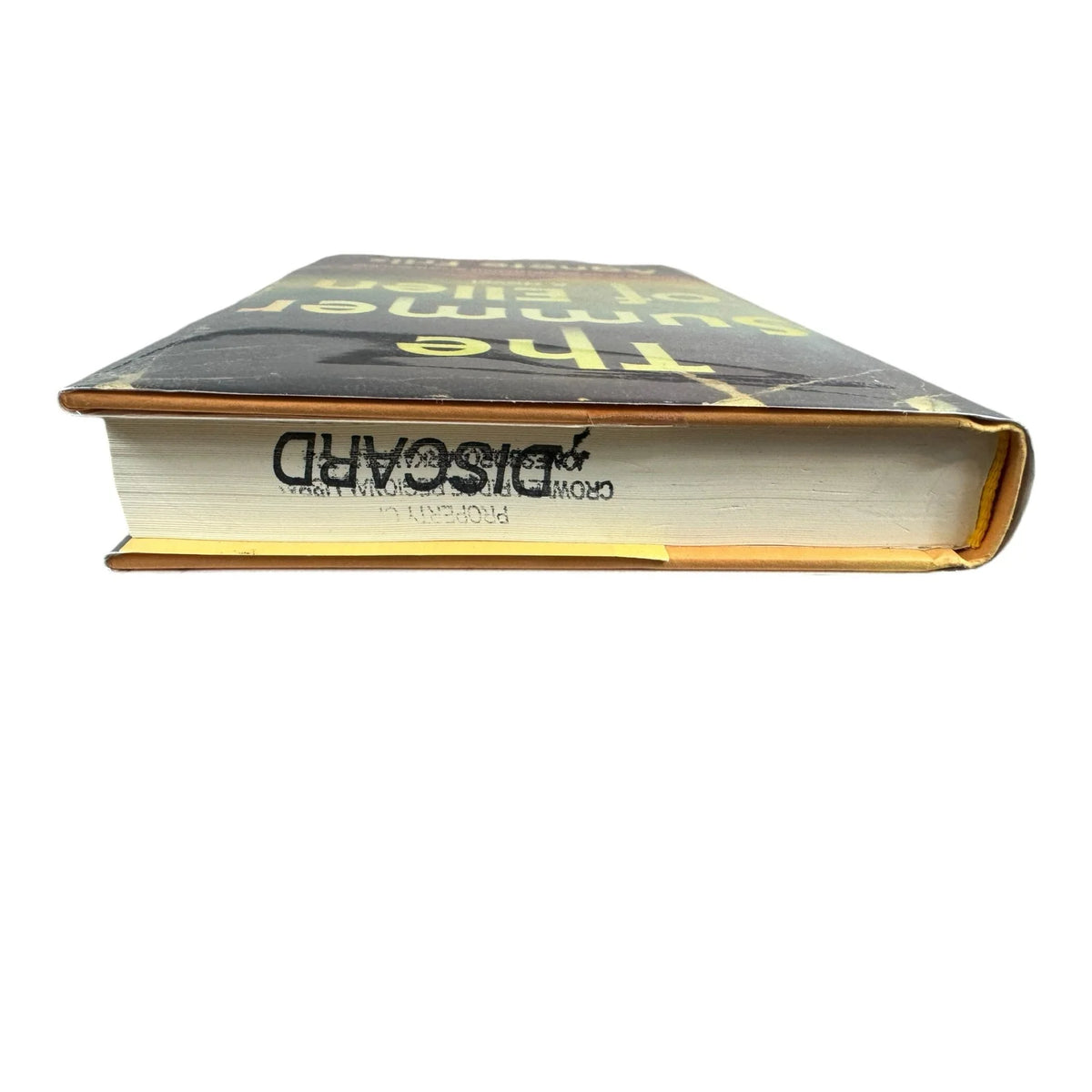 The Summer of Ellen by Agnete Friis (Hardcover) - Image 6