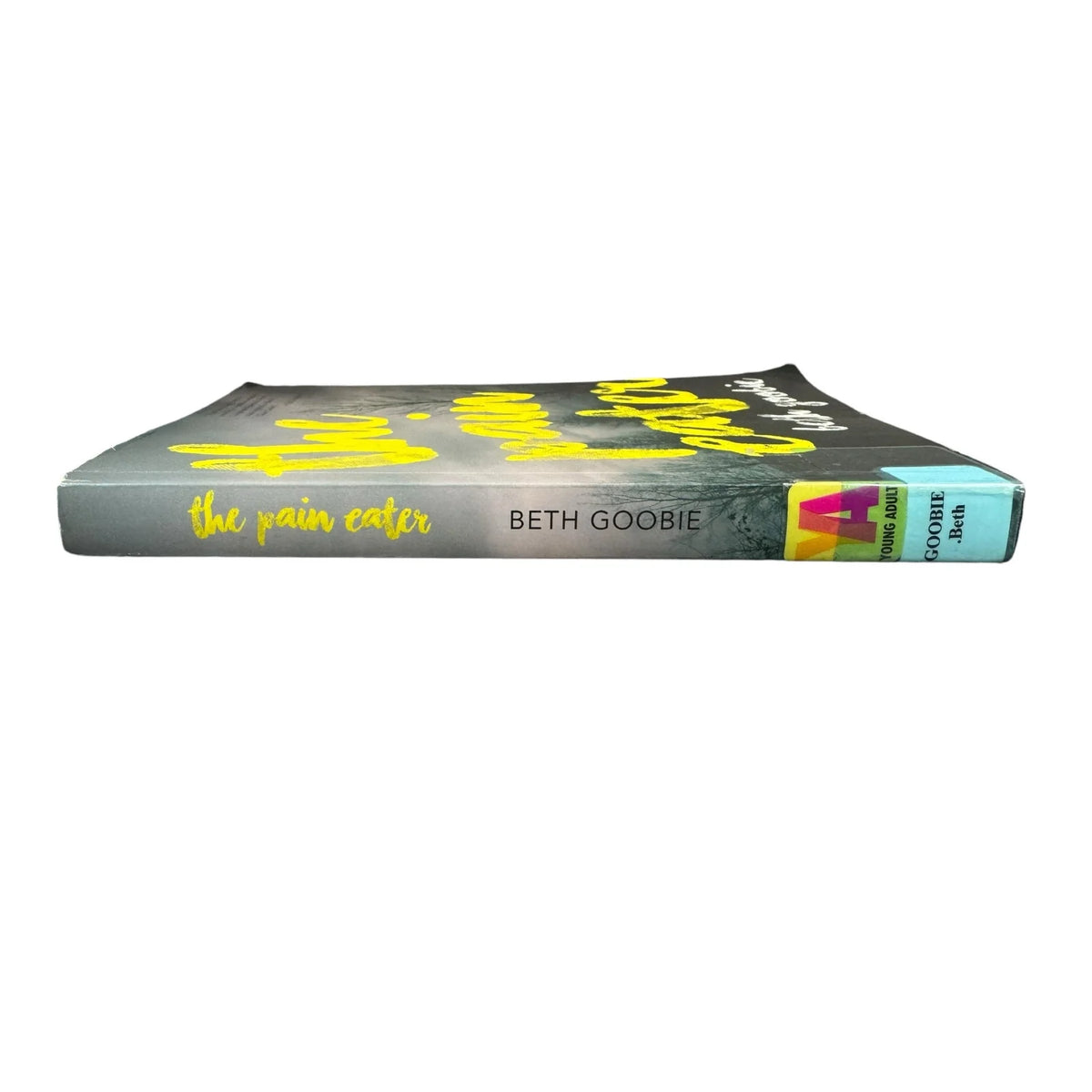 The Pain Eater by Beth Goobie (Paperback) - Image 3