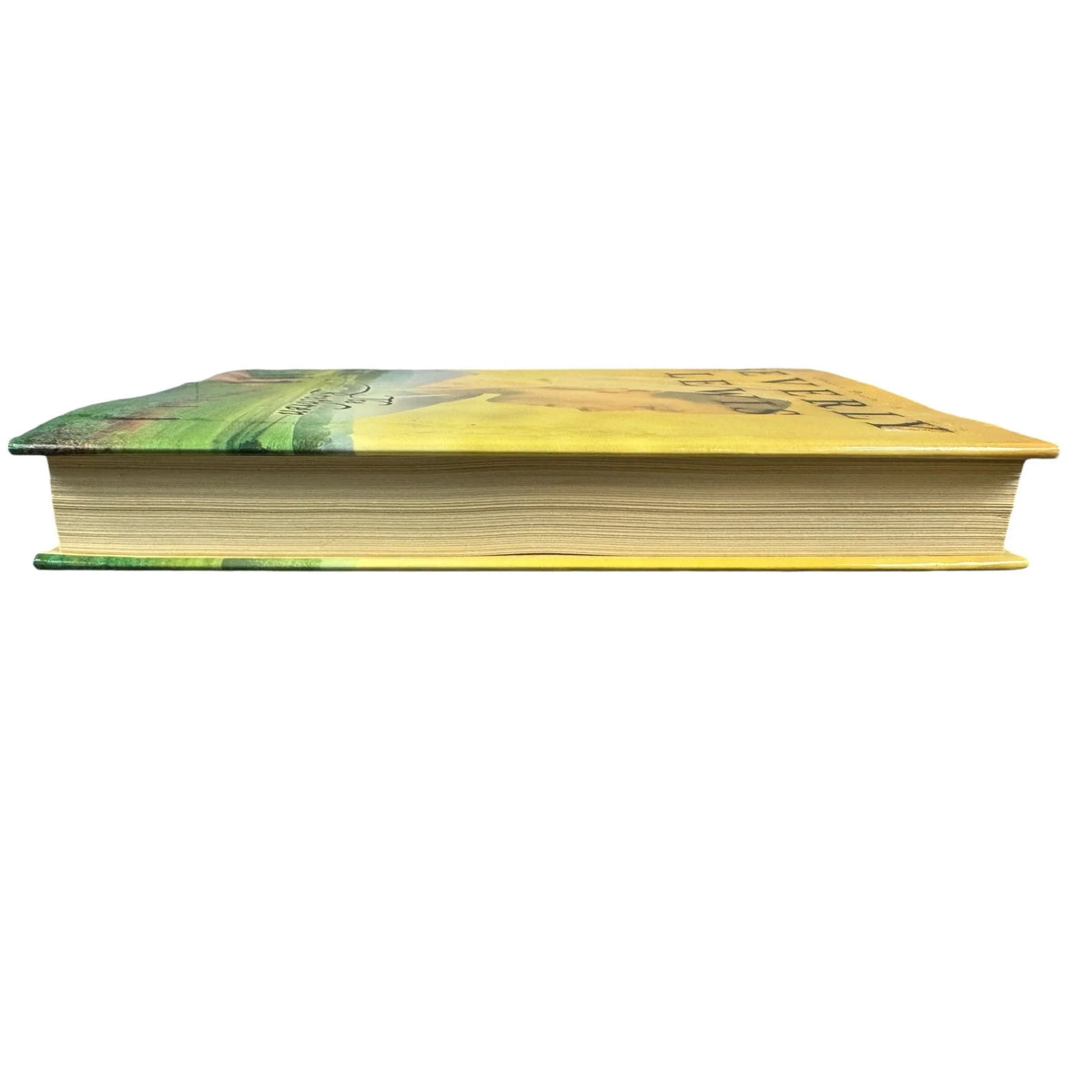 The Brethren by Beverly Lewis (Hardcover) - Image 6