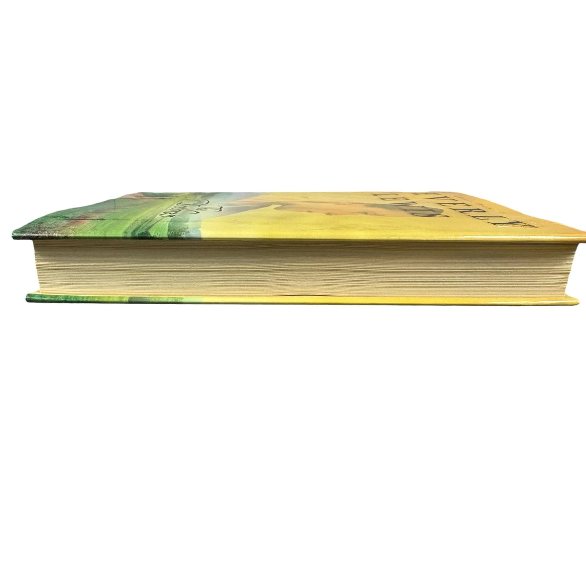 The Brethren by Beverly Lewis (Hardcover) - Image 5