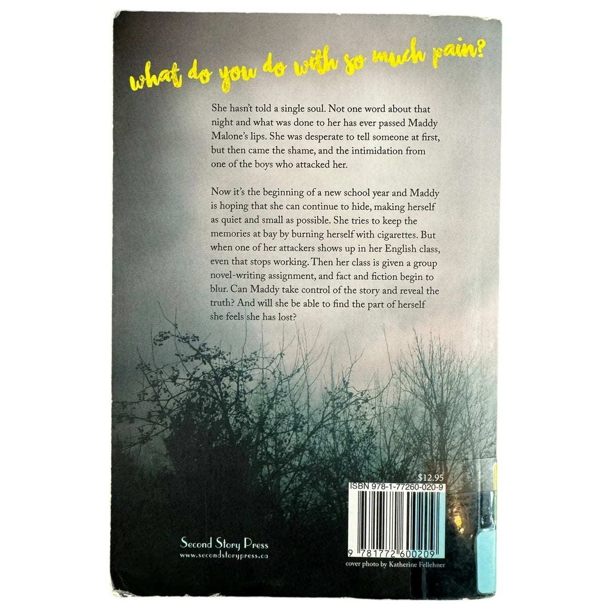 The Pain Eater by Beth Goobie (Paperback) - Image 2