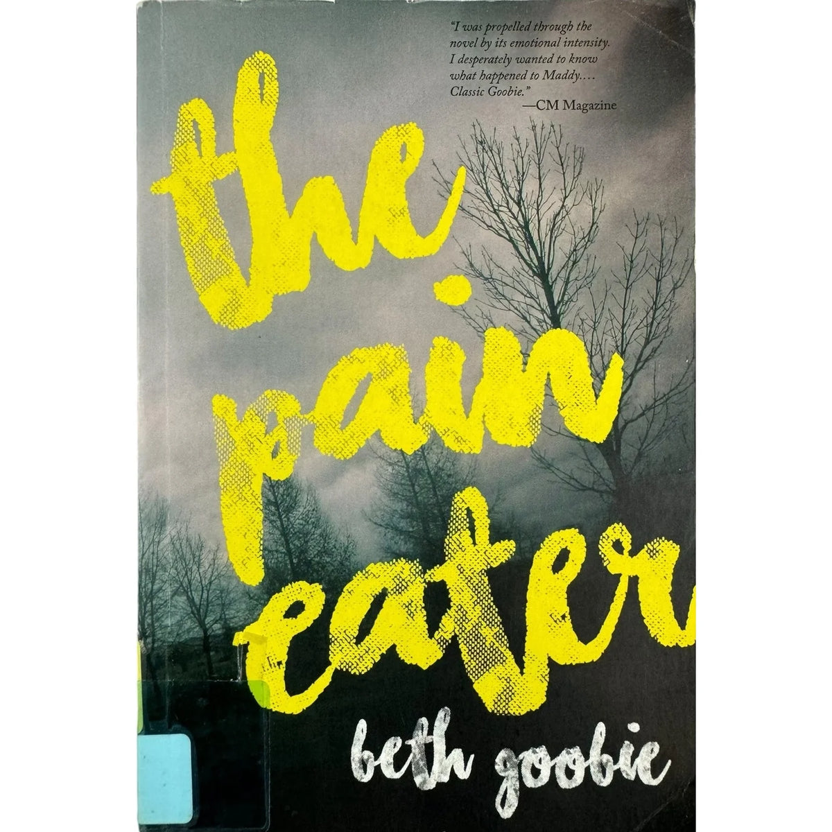 The Pain Eater by Beth Goobie (Paperback) - Image 1