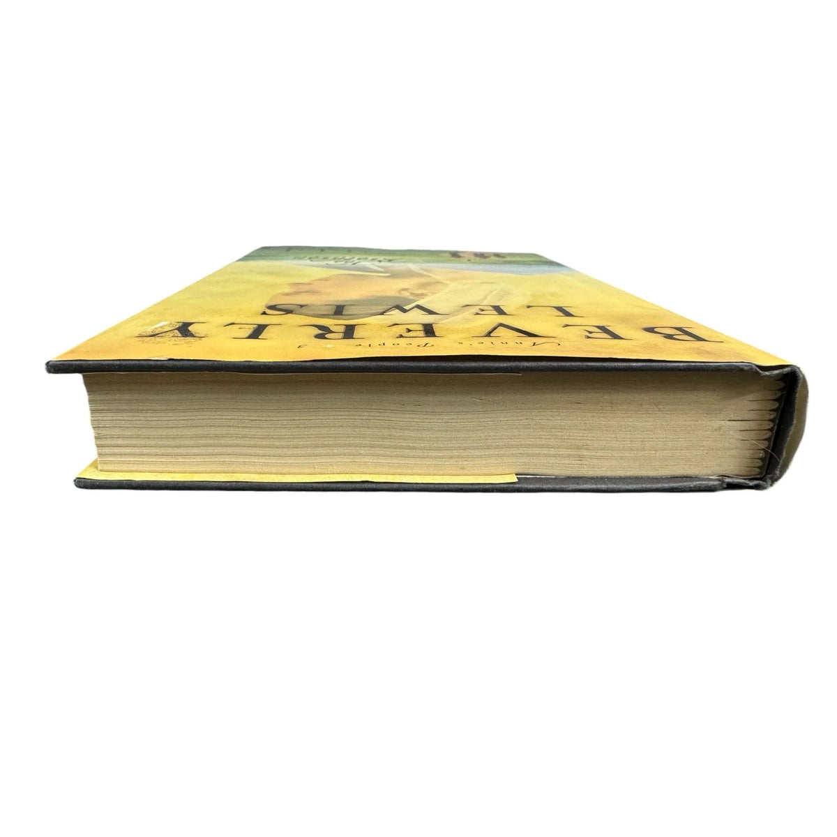 The Brethren by Beverly Lewis (Hardcover) - Image 7