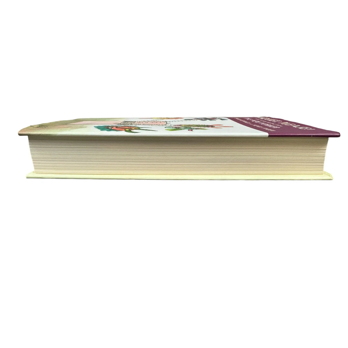 Disquiet, Please! by Various Authors (Hardcover) - Image 5