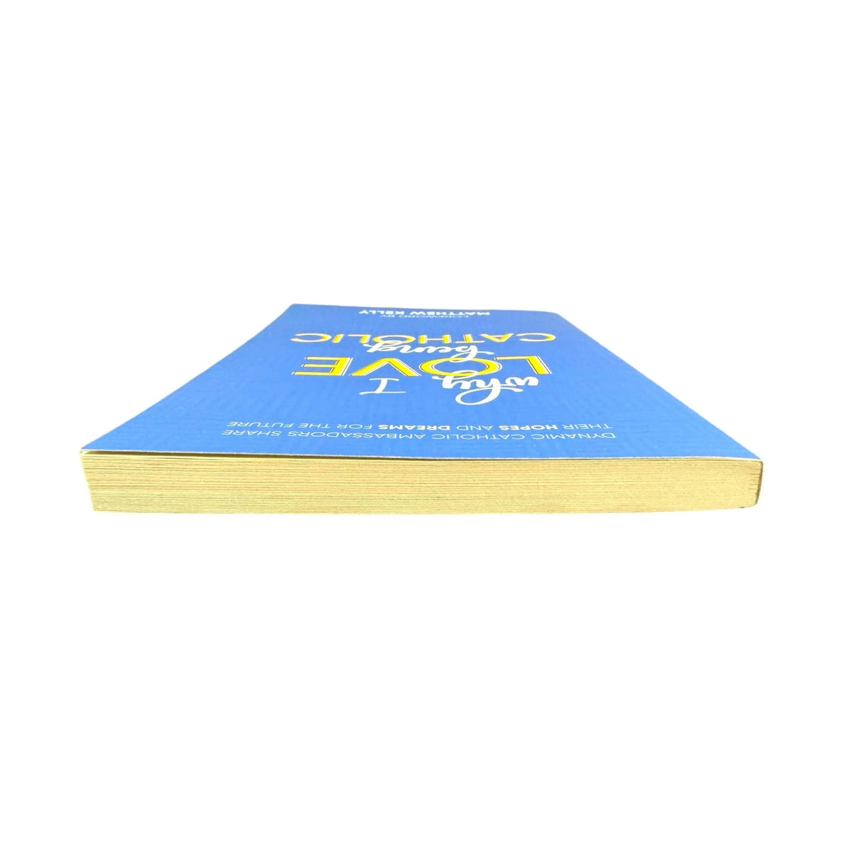 Why I Love Being Catholic by Matthew Kelly (Paperback) - Image 6
