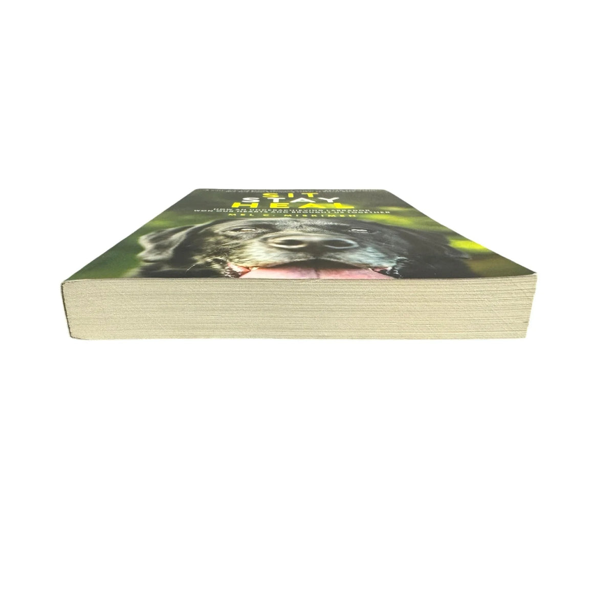 Sit Stay Heal by Mel C. Miskimen (Paperback) - Image 4