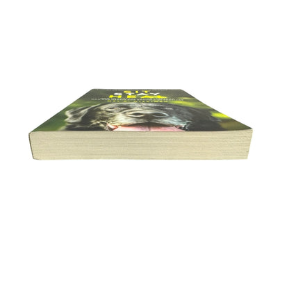 Sit Stay Heal by Mel C. Miskimen (Paperback) - Image 4