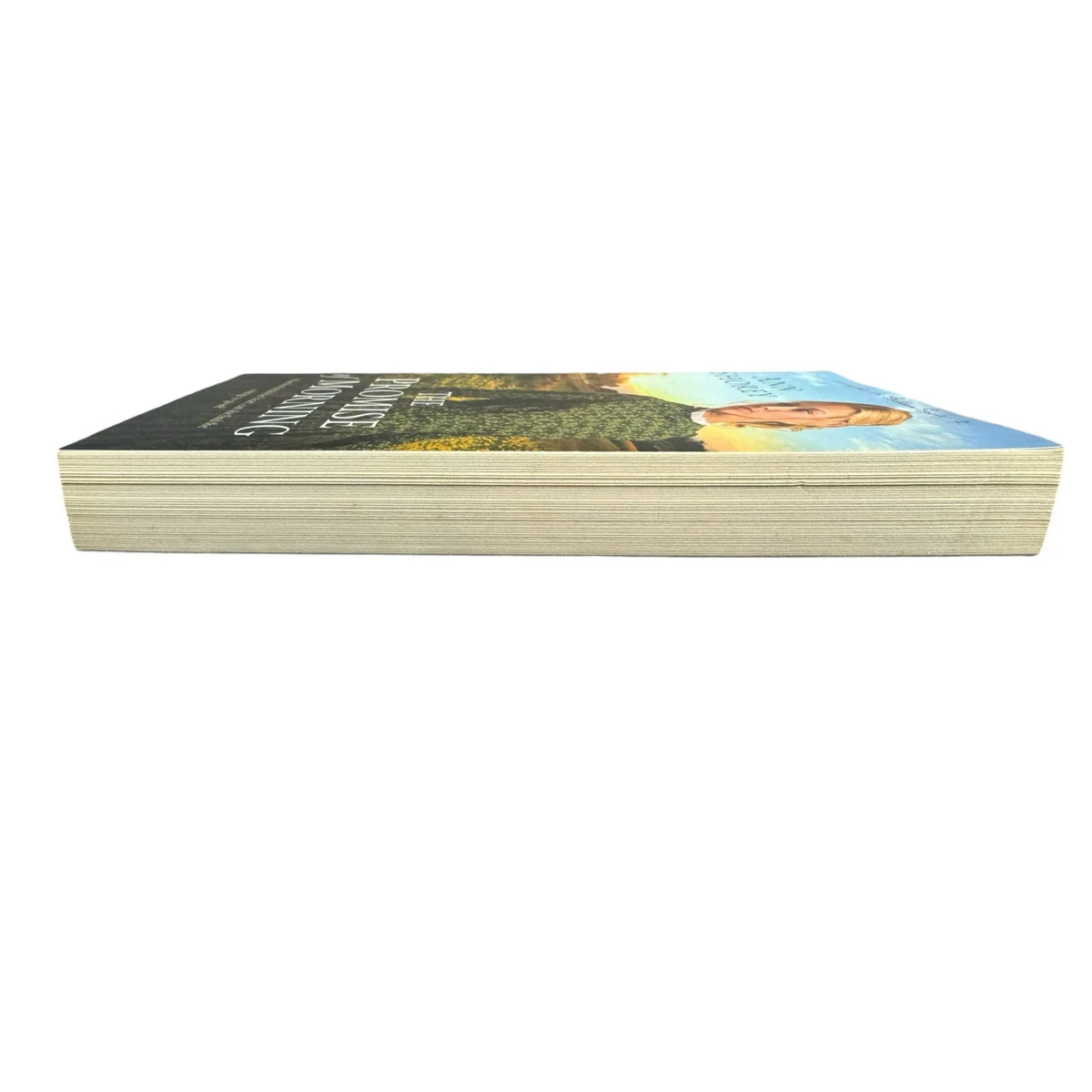 The Promise of Morning by Ann Shorey (Paperback) - Image 5