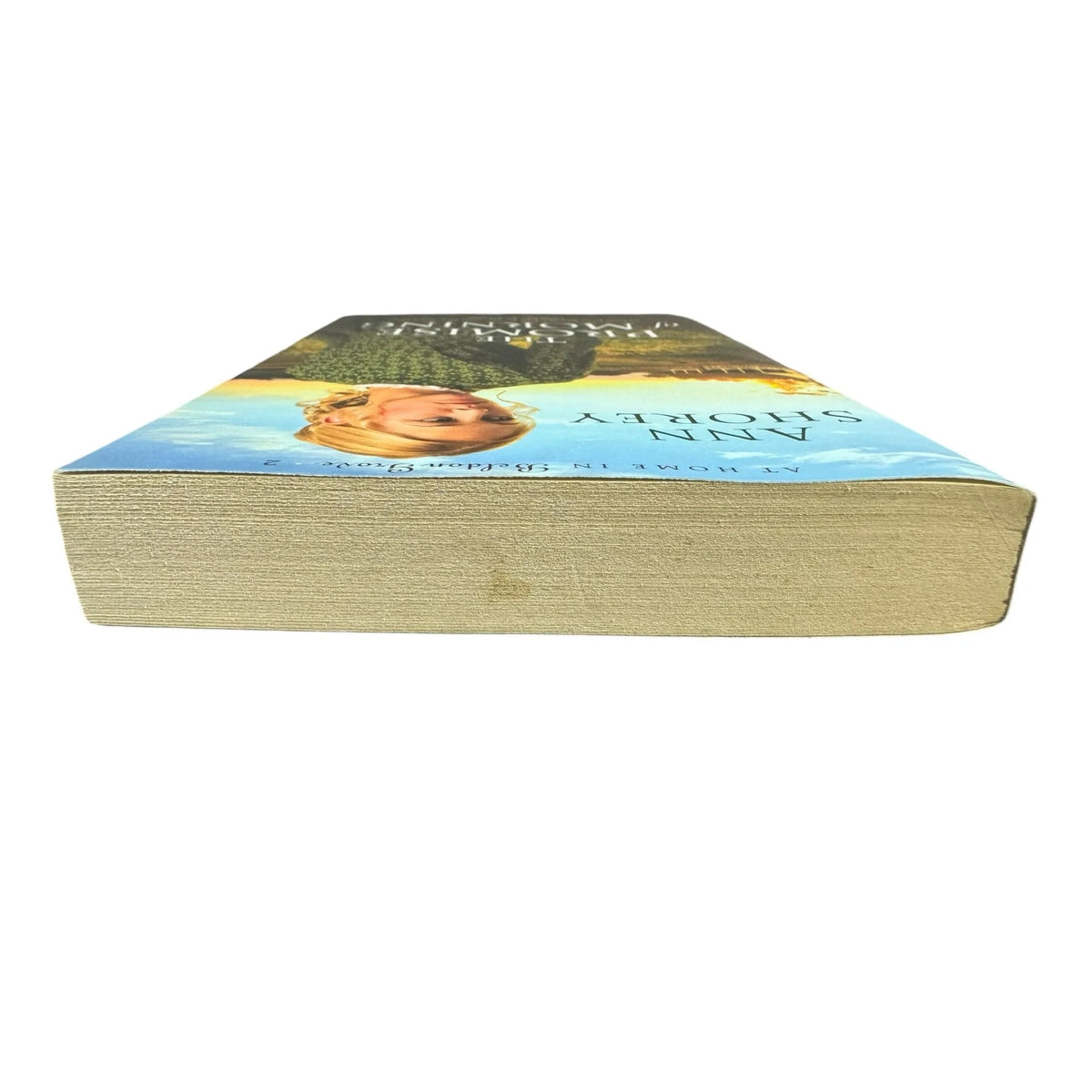The Promise of Morning by Ann Shorey (Paperback) - Image 6