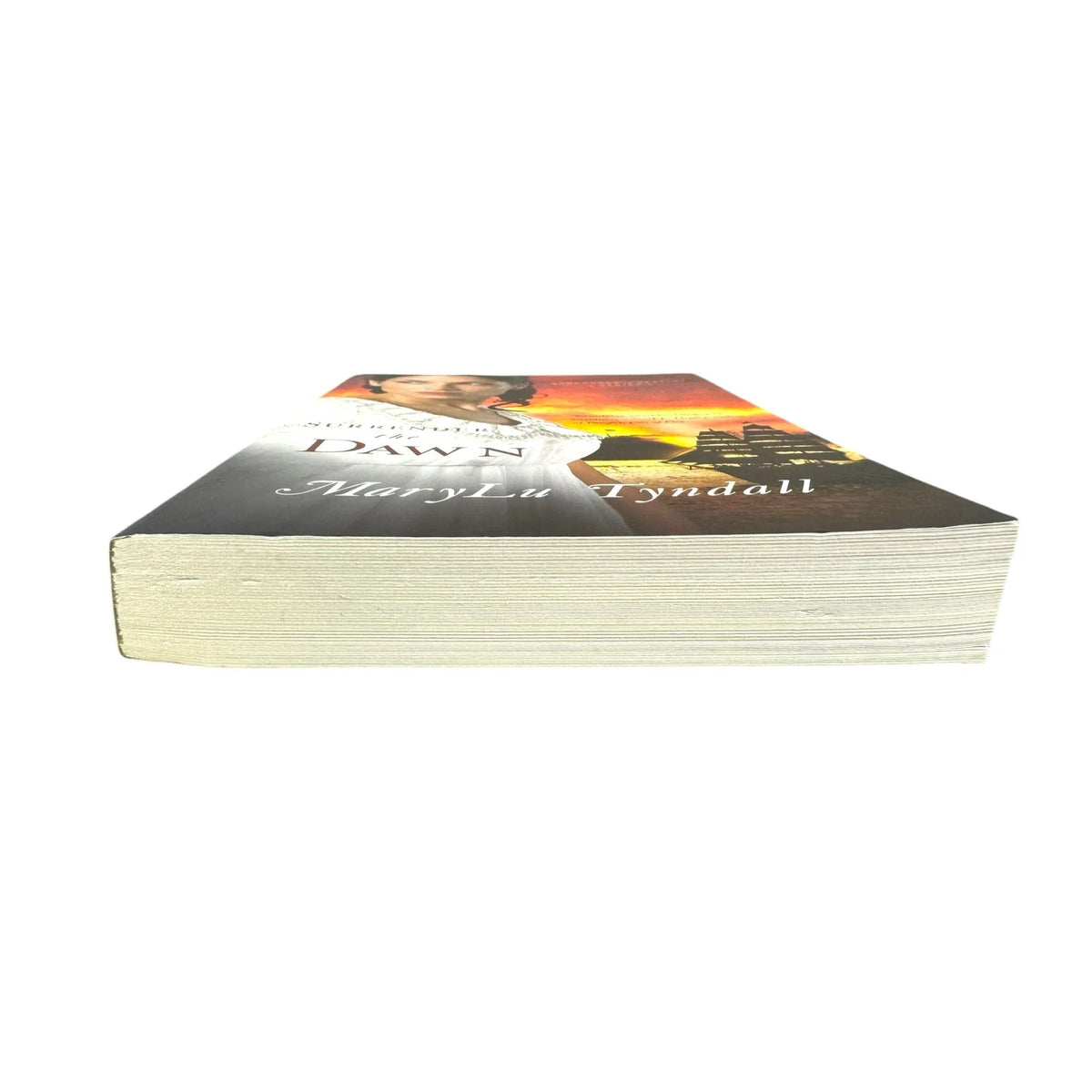 Surrender the Dawn by MaryLu Tyndall (Paperback) - Image 4