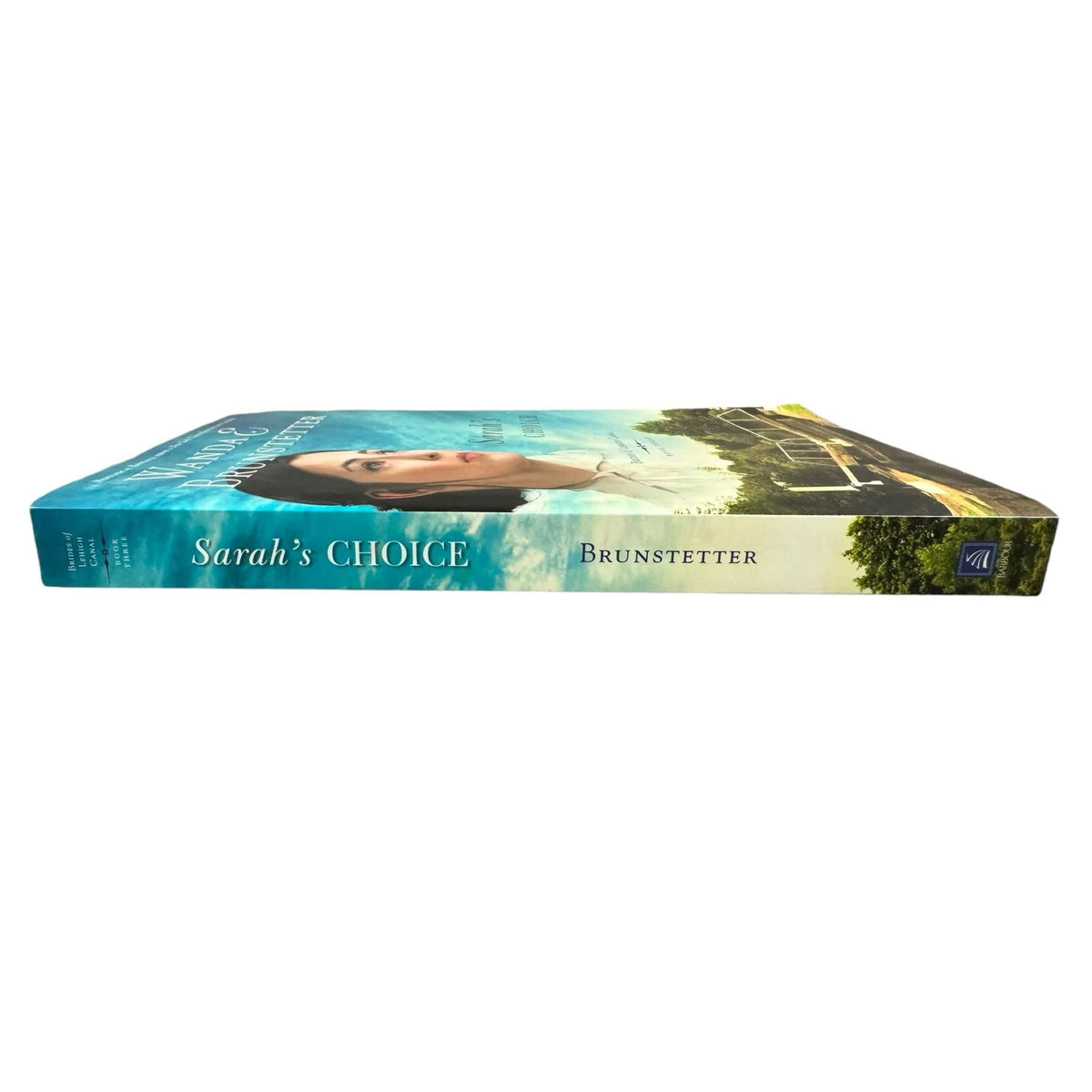 Sarah's Choice by Wanda E. Brunstetter (Paperback) - Image 3