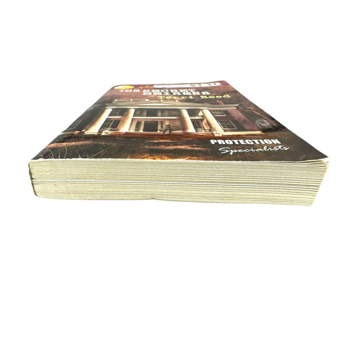 The Secret Heiress by Terri Reed (Paperback) - Image 4