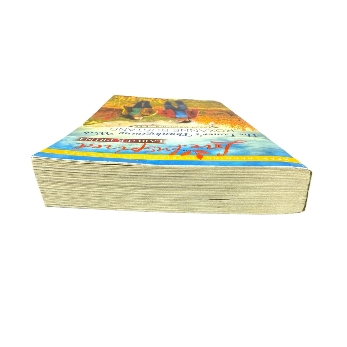 The Loner's Thanksgiving Wish by Roxanne Rustand (Paperback) (Large Print) - Image 6