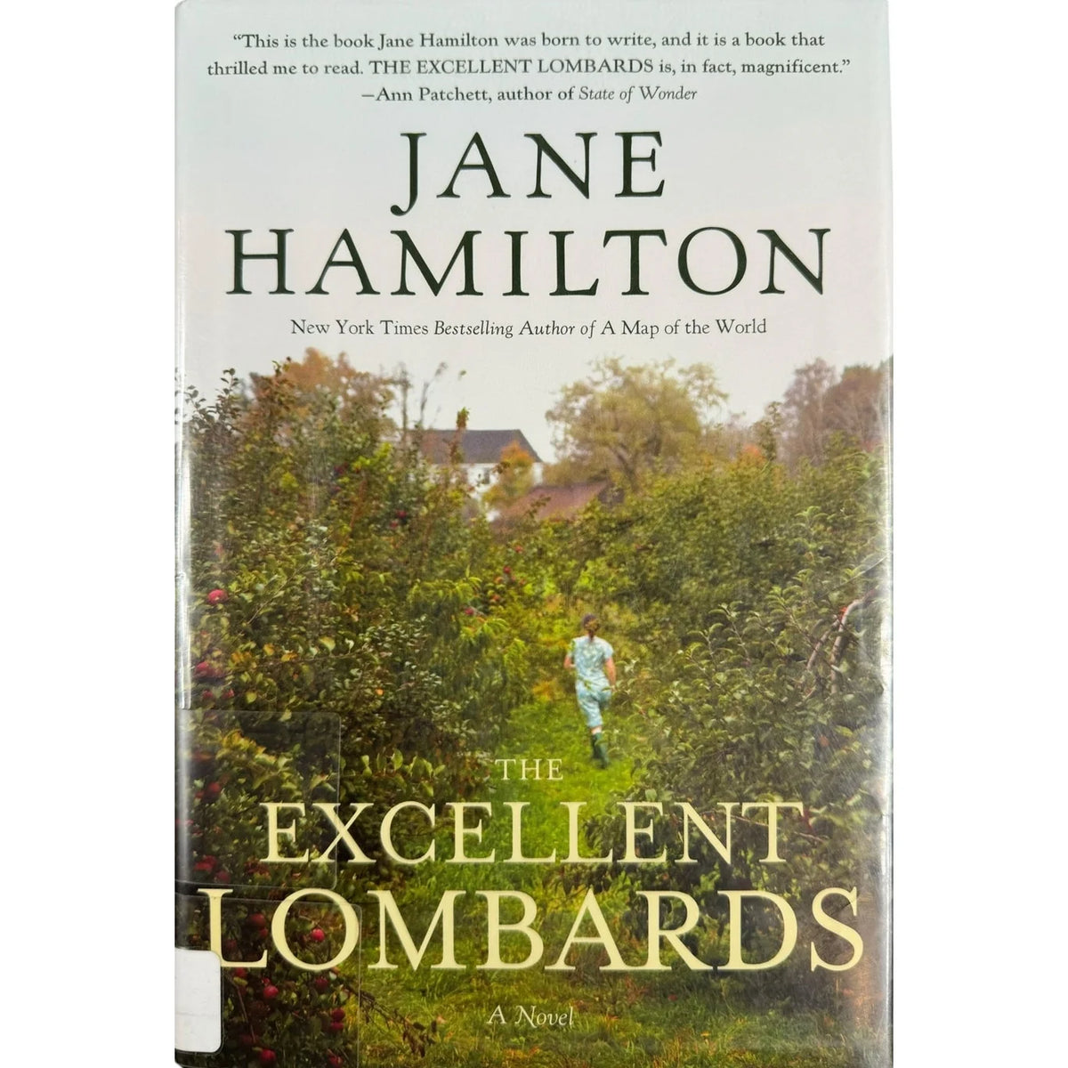 The Excellent Lombards by Jane Hamilton (Hardcover) - Image 1