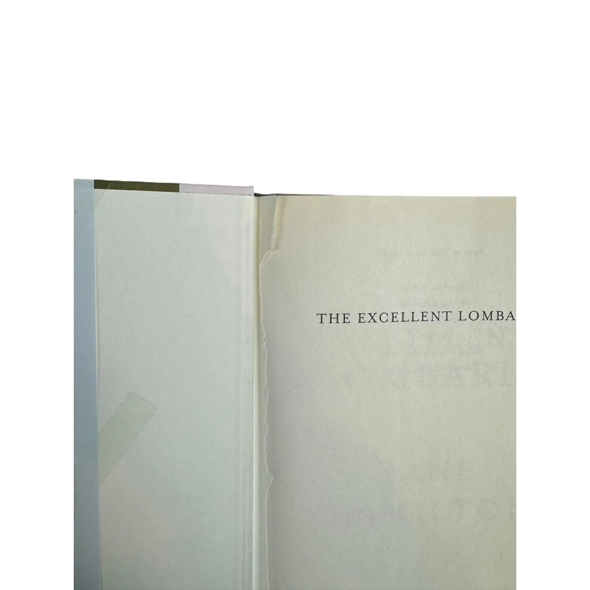 The Excellent Lombards by Jane Hamilton (Hardcover) - Image 7