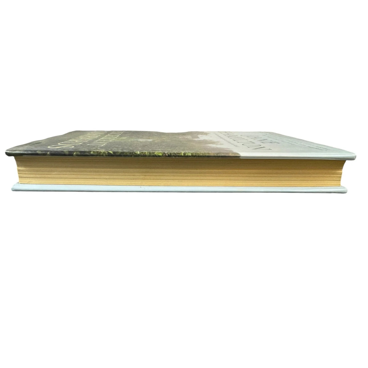 The Excellent Lombards by Jane Hamilton (Hardcover) - Image 5
