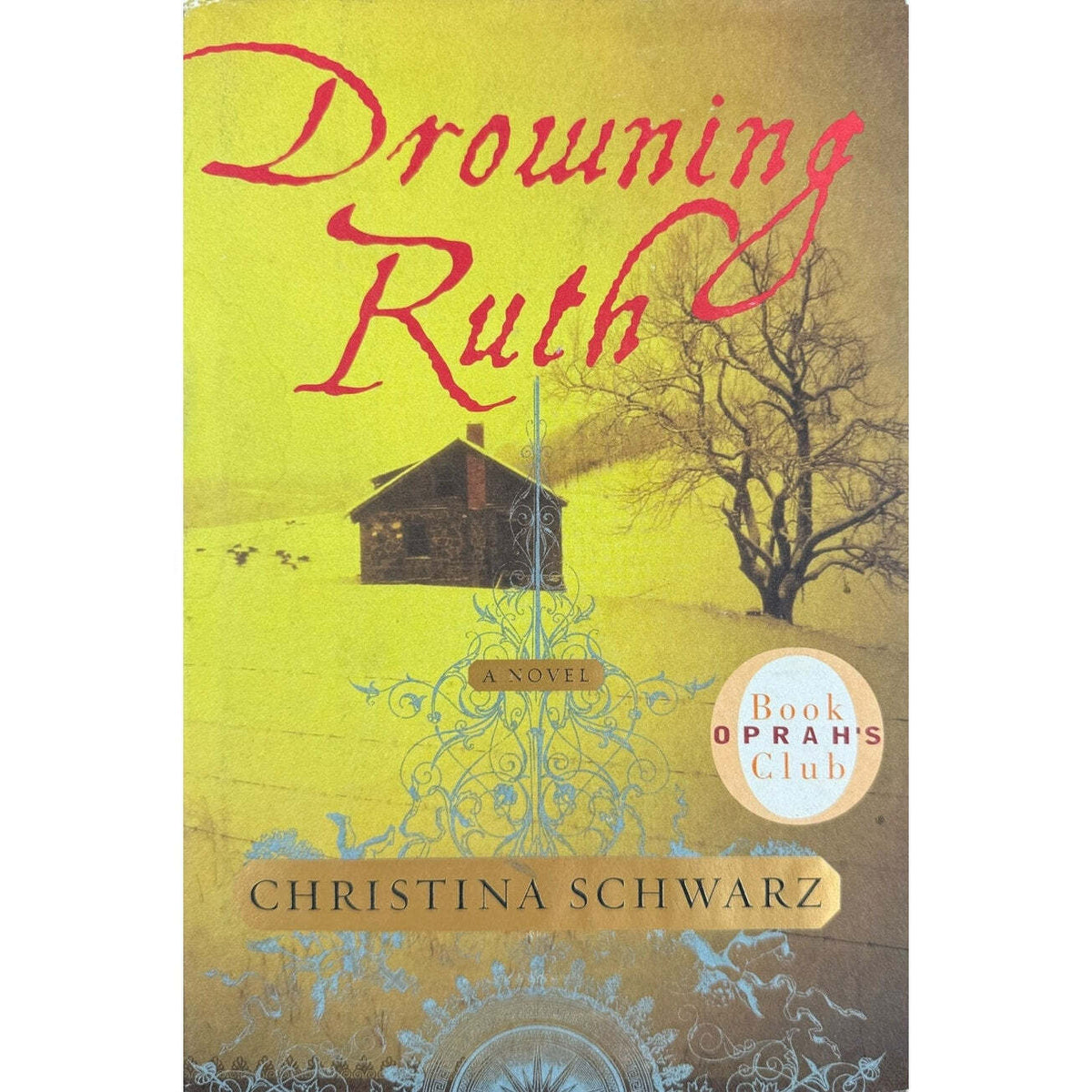 Drowning Ruth by Christina Schwarz (Hardcover) - Image 1
