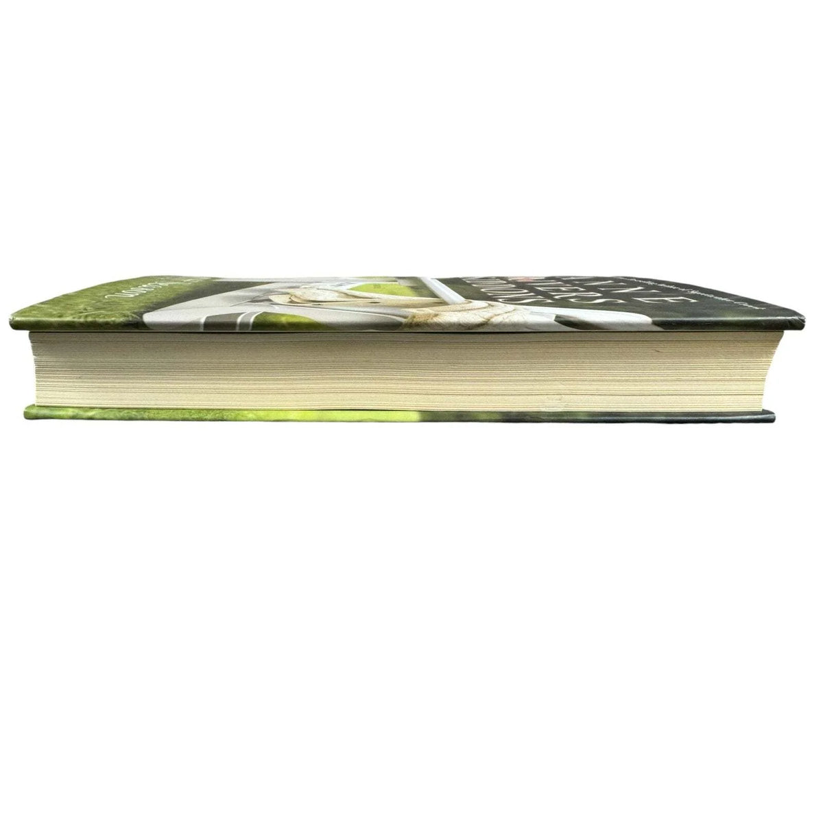 Off Season by Anne Rivers Siddons (Hardcover) (First Edition) - Image 5