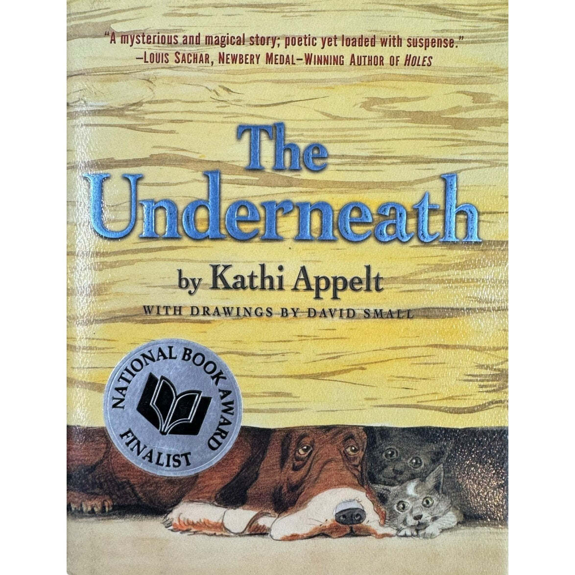 The Underneath by Kathi Appelt (Hardcover) - Image 1