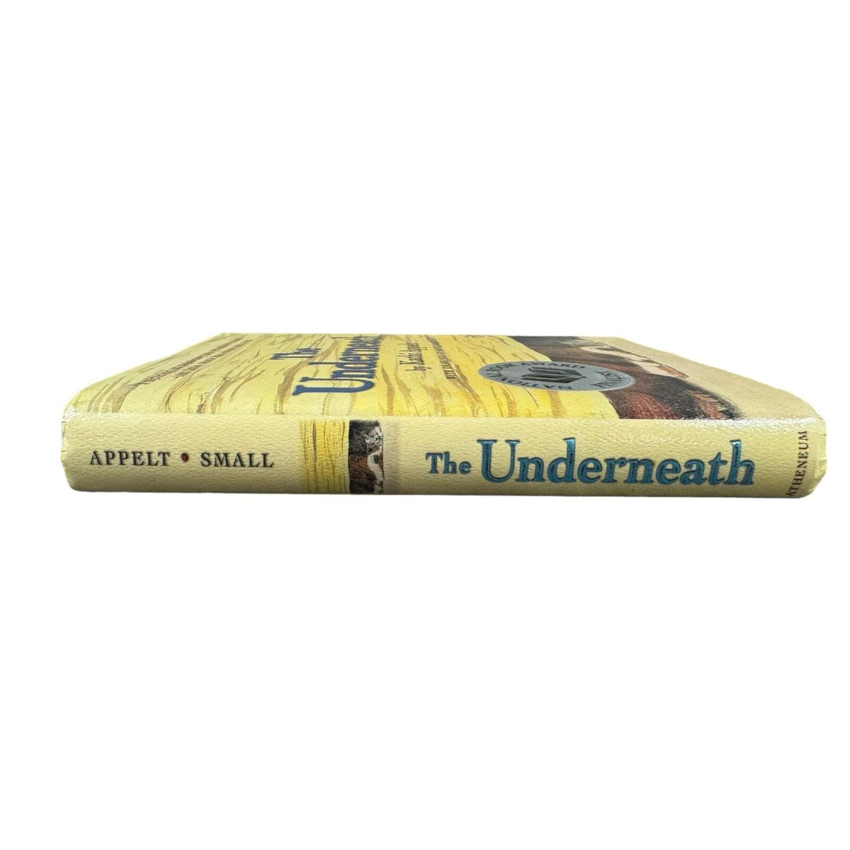 The Underneath by Kathi Appelt (Hardcover) - Image 3