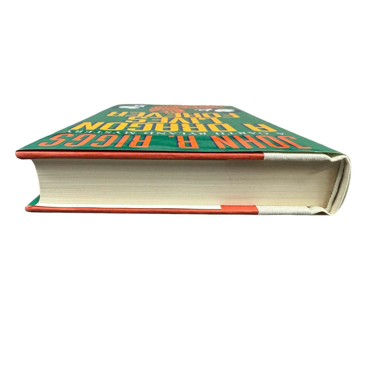 A Dragon Lives Forever by John R. Riggs (Hardcover) - Image 6