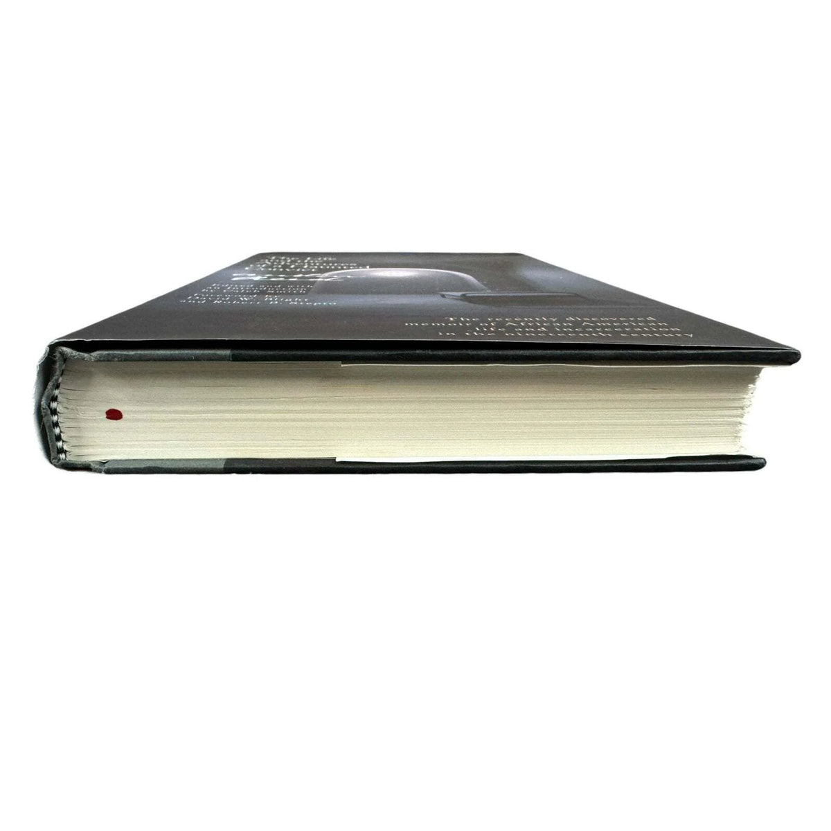 The Life and the Adventures of a Haunted Convict (Hardcover) (First Edition) - Image 4