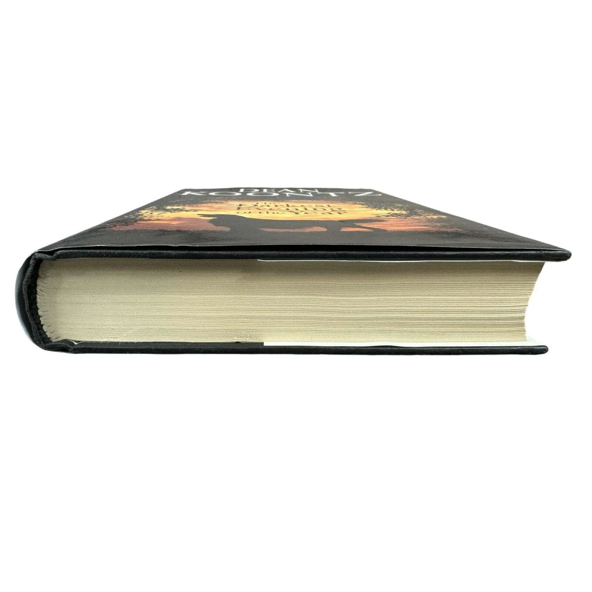The Darkest Evening of the Year by Dean Koontz (Hardcover) - Image 4
