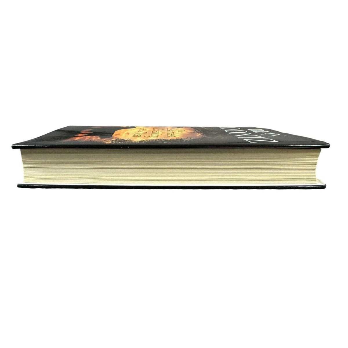 The Darkest Evening of the Year by Dean Koontz (Hardcover) - Image 5