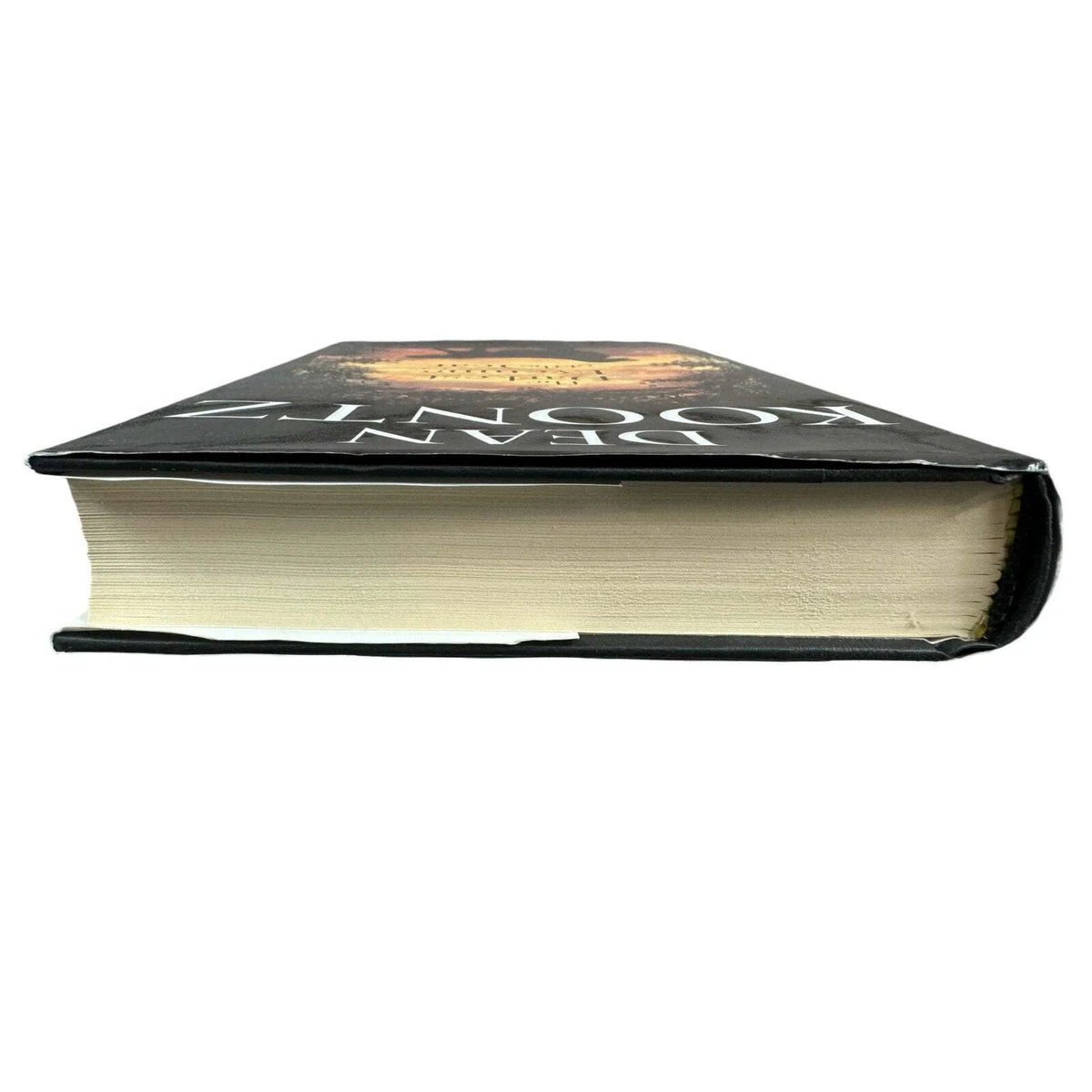 The Darkest Evening of the Year by Dean Koontz (Hardcover) - Image 6