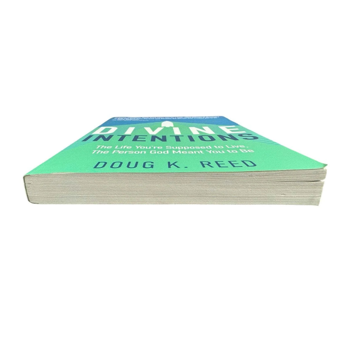 Divine Intentions by Doug K. Reed (Paperback) - Image 4