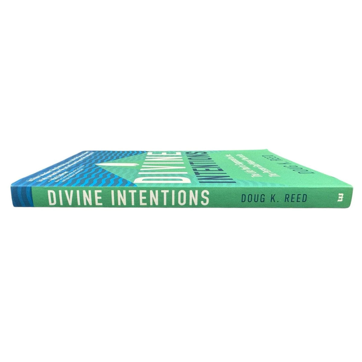Divine Intentions by Doug K. Reed (Paperback) - Image 3