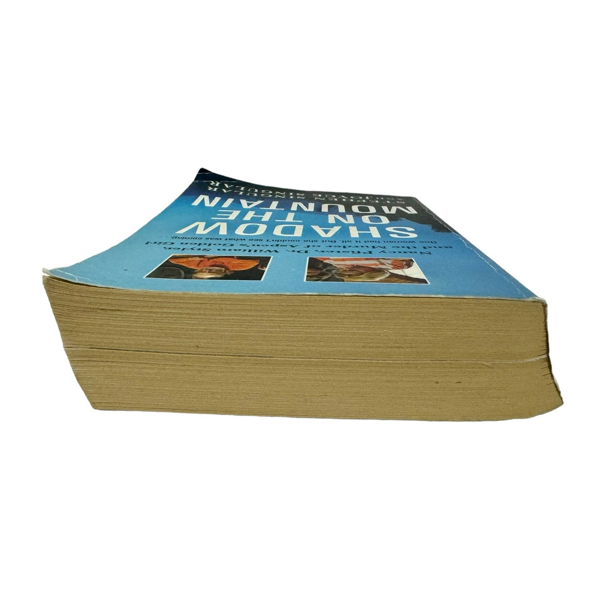 Shadow on the Mountain by Stephen Singular and Joyce Singular Paperback Book - Image 6