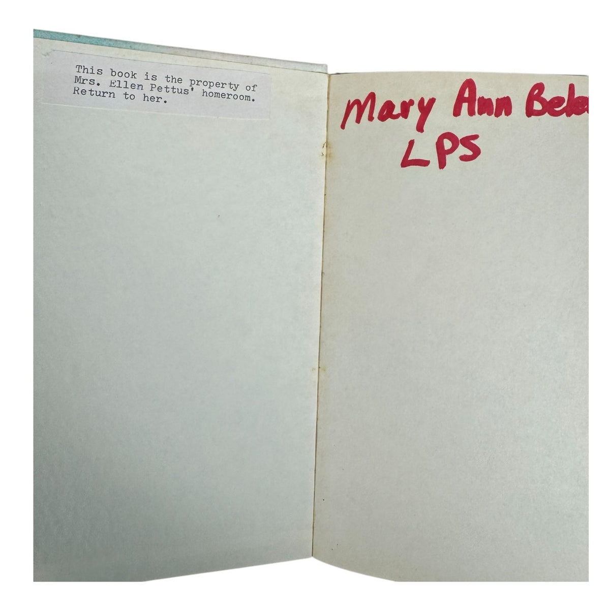 The Magic of the Glits by C.S. Adler (Hardcover) - Image 7