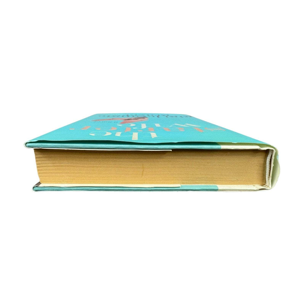 The Starter Wife by Gigi Levangie Grazer (Hardcover) - Image 4