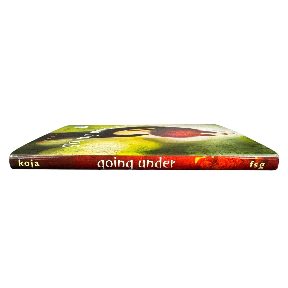 Going Under by Kathe Koja (Hardcover) - Image 5