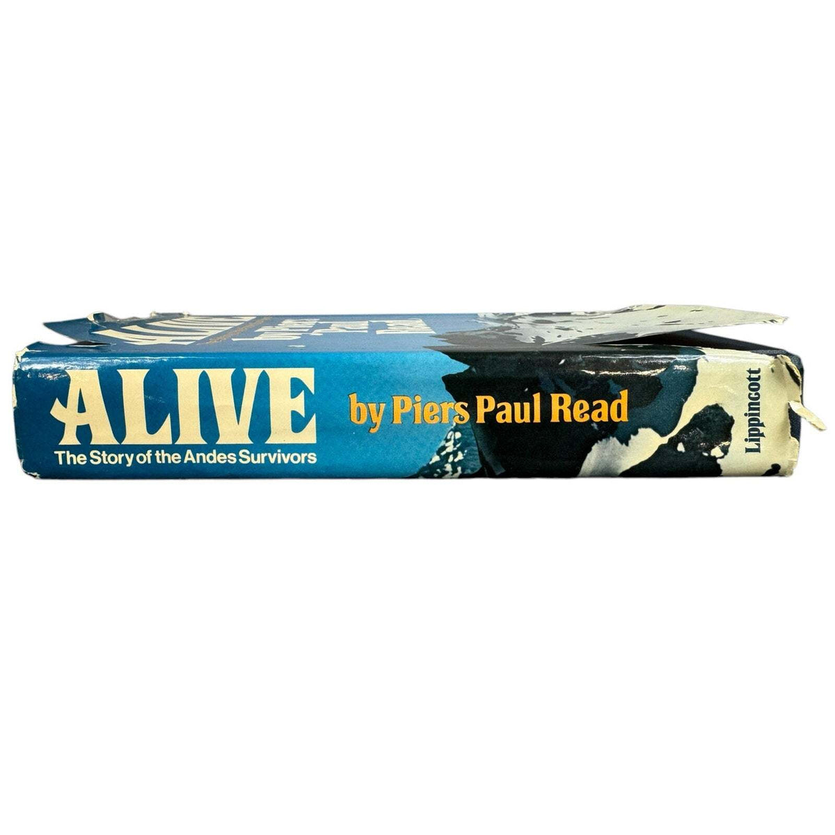 Alive by Piers Paul Read (Hardcover) - Image 3