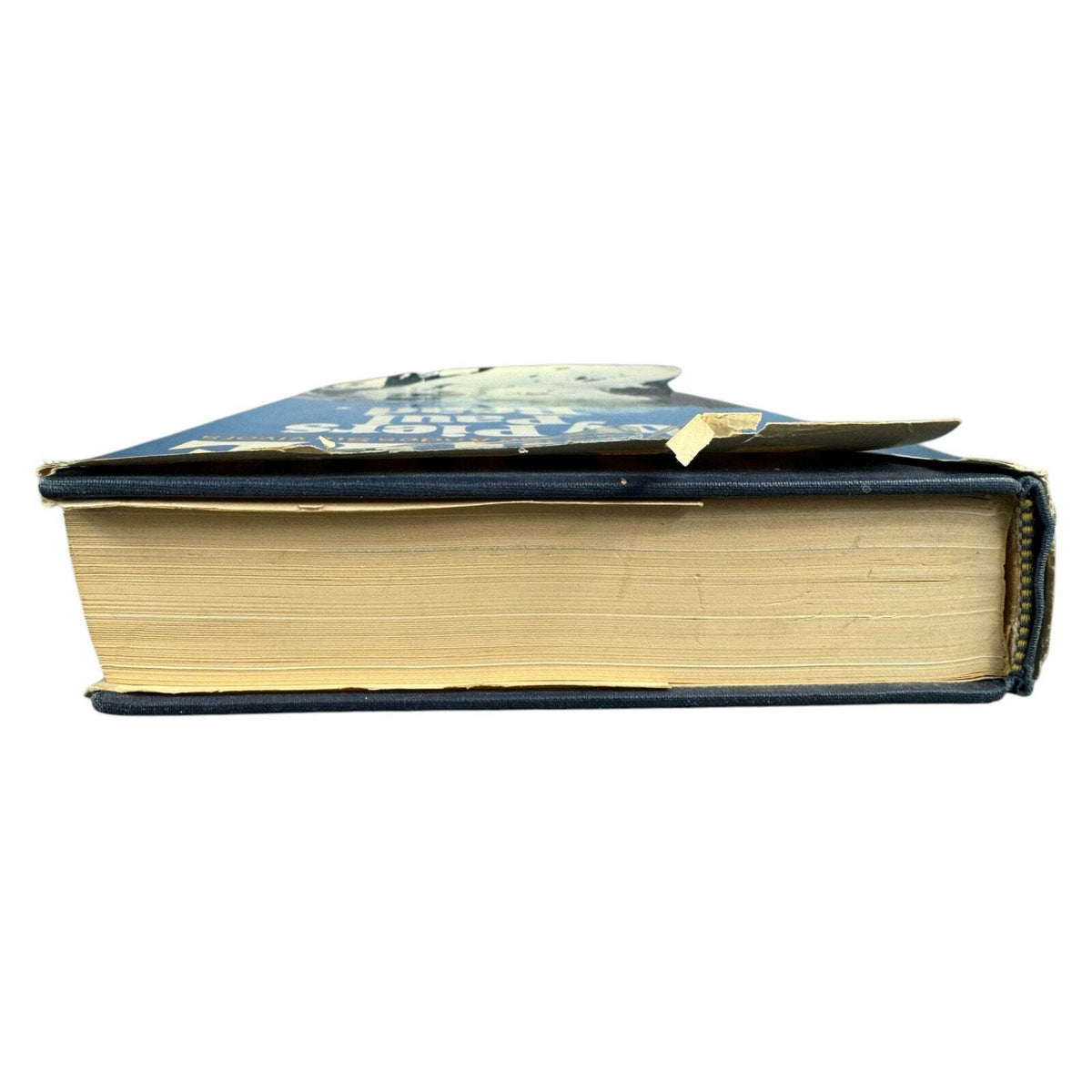 Alive by Piers Paul Read (Hardcover) - Image 6