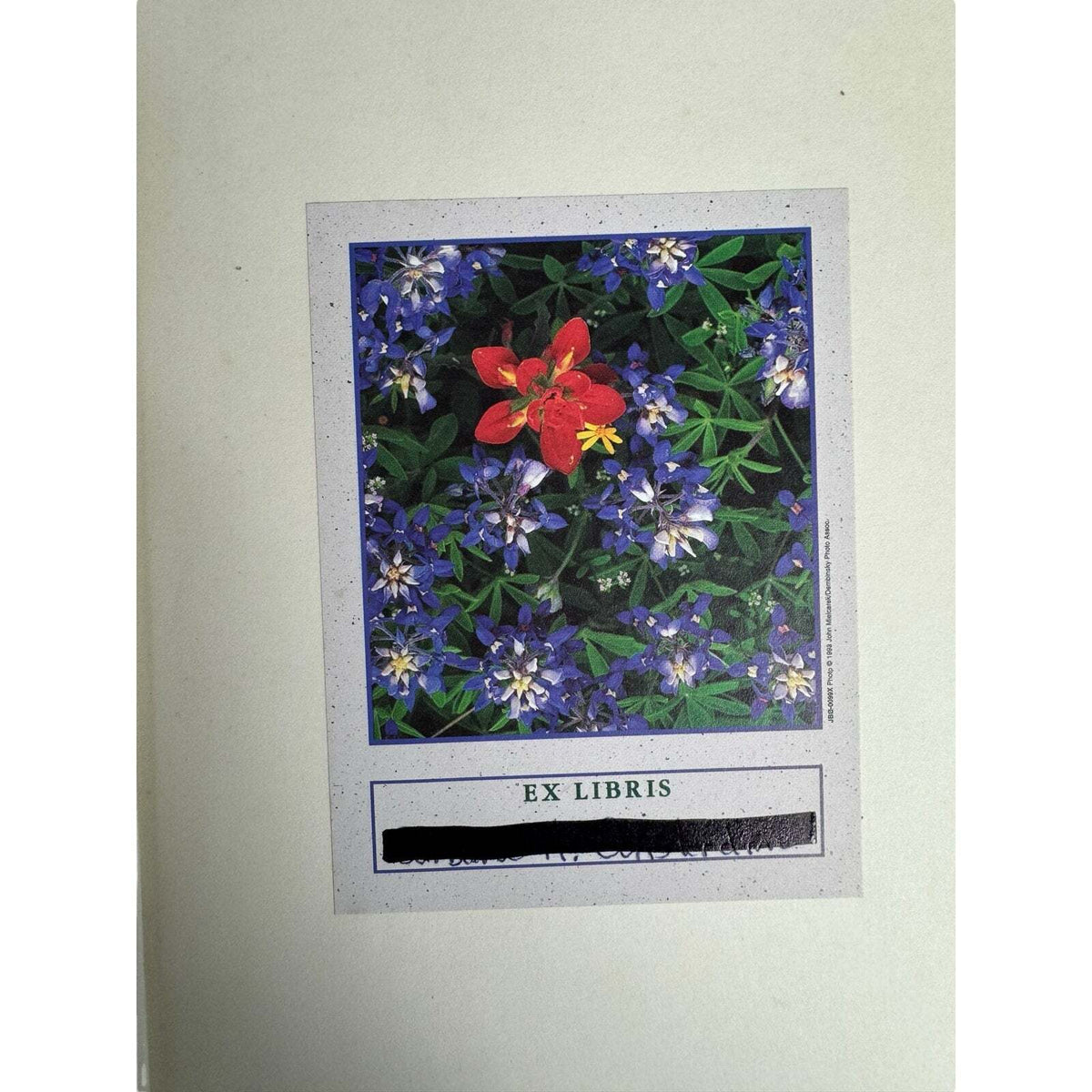 Second-Best Bride by Ruth Glover (Hardcover) - Image 8