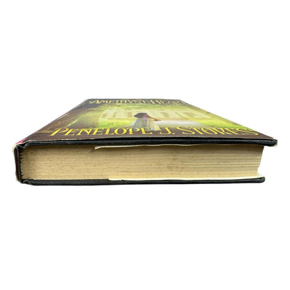 The Amethyst Heart by Penelope J. Stokes (Hardcover) - Image 4