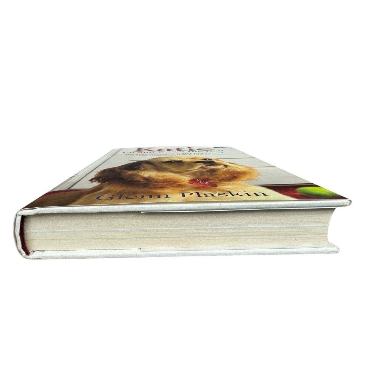 Katie Up and Down the Hall by Glenn Plaskin (Hardcover) - Image 4