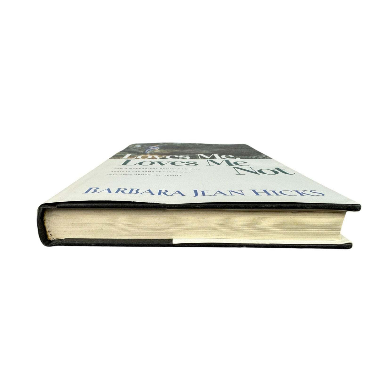 Loves Me, Loves Me Not by Barbara Jean Hicks (Hardcover) - Image 4